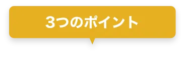 3つのポイント